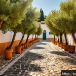 Home 23 농촌관광지도사로 일하면서 느낀 점 - A peaceful rural village scene in Spain during early autumn, with traditional whitewashed houses fea...