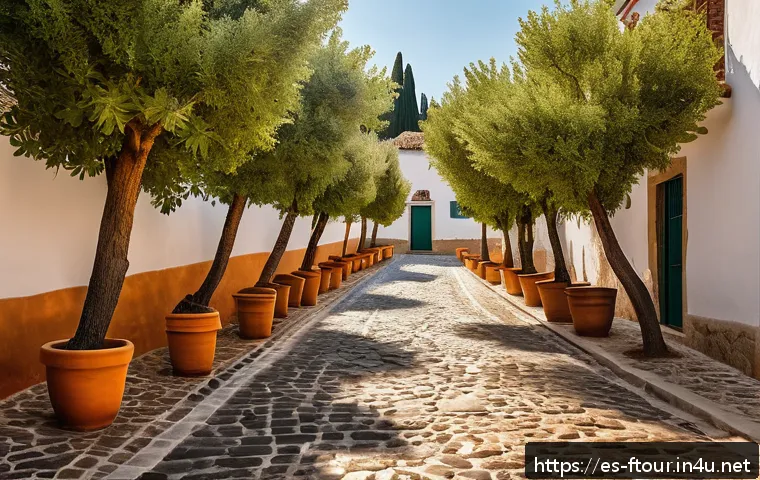 농촌관광지도사로 일하면서 느낀 점 - A peaceful rural village scene in Spain during early autumn, with traditional whitewashed houses fea...